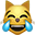 :tear-cat-emoji: